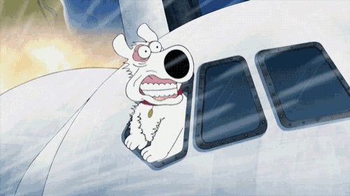 a cartoon of a dog with a surprised look on his face