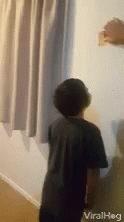 Bump Head Slam Into Wall GIF - Bump Head Slam Into Wall Prank GIFs
