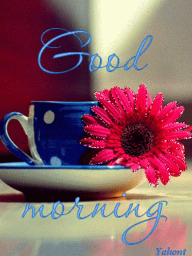 Good Morning Flower GIF - Good Morning Flower Sparkle GIFs