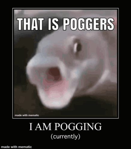 Pog Fish Pogging GIF - Pog Fish Pogging Currently GIFs