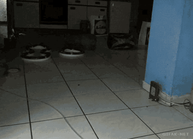 a gif from gifak-net shows a mouse crawling on a tiled floor