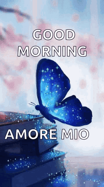 a blue butterfly is sitting on top of a stack of books and says good morning amore mio .