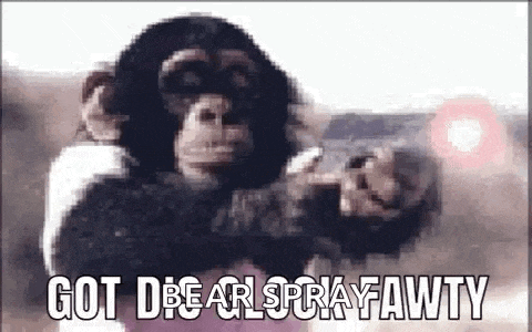 a chimpanzee is holding a gun and pointing it at someone .