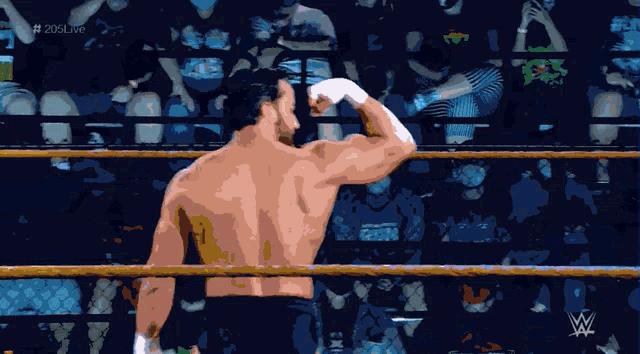 a man in a wrestling ring with the letters w on the bottom right