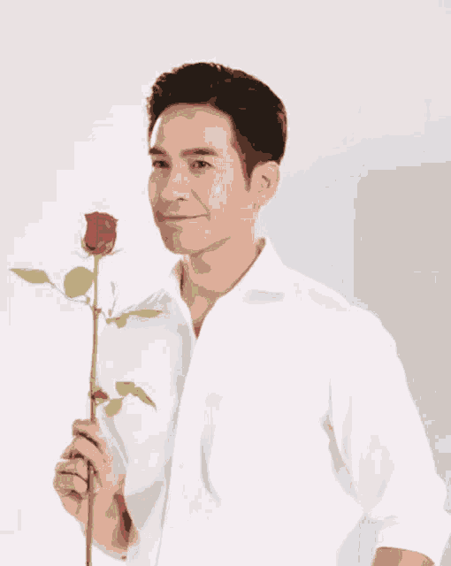 a man in a white shirt is holding a single red rose
