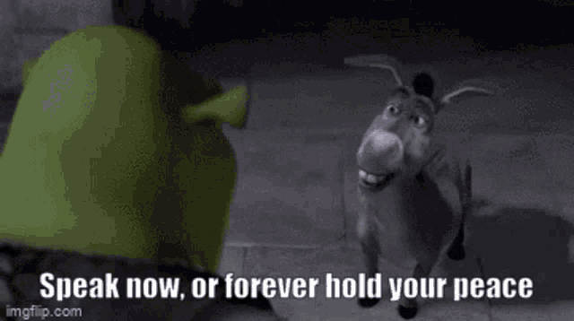 Shrek Donkey GIF - Shrek Donkey Speak Now Or Forever Hold Your Peace GIFs