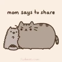 Cat And GIF - Cat And Mom GIFs