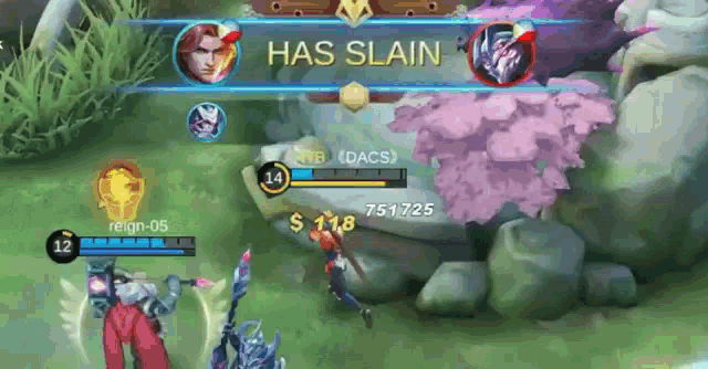 a screenshot of a video game with the words `` has slain '' at the top of the screen .