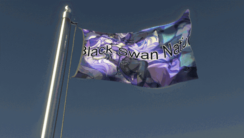 Black Swan Hsr GIF - Black Swan Hsr Honkai Star Rail GIFs
