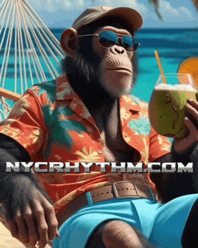 a chimpanzee sitting in a hammock holding a coconut drink with nycrhythm.com written on the bottom