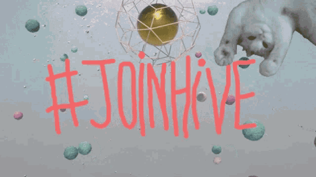 Joinhive Cat GIF - Joinhive Cat Hi GIFs