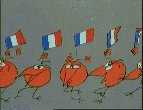 France French GIF - France French March GIFs