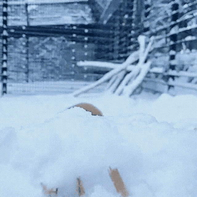 a person laying in a pile of snow with a blurred background
