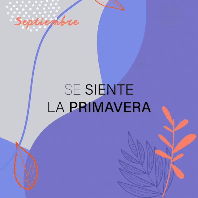 a poster for volando ando shows a man wearing a flower hat