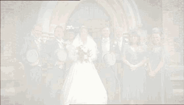 a bride and groom pose with their wedding party