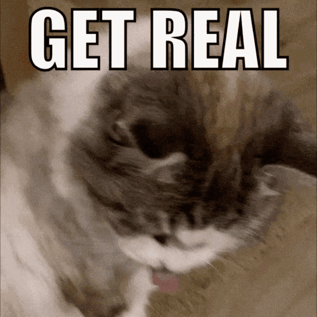 a picture of a cat with the words get real written above it