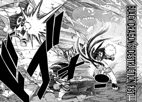 a black and white drawing with the words black dragon 's destroying fist written on it