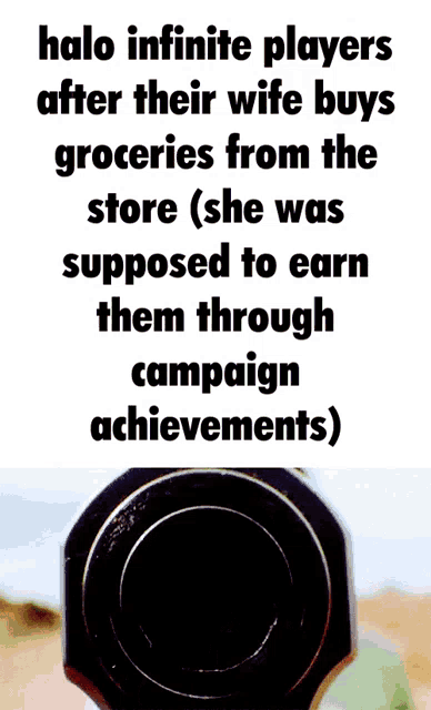 halo infinite players after their wife buys groceries from the store ( she was supposed to earn them through campaign achievements
