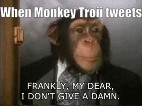 Monkey Troii Monkey Troll GIF - Monkey Troii Monkey Troll GIFs