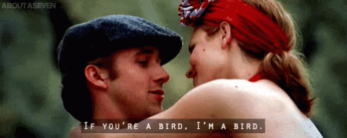 Love Quotes GIF - Love Quotes Im A Bird GIFs