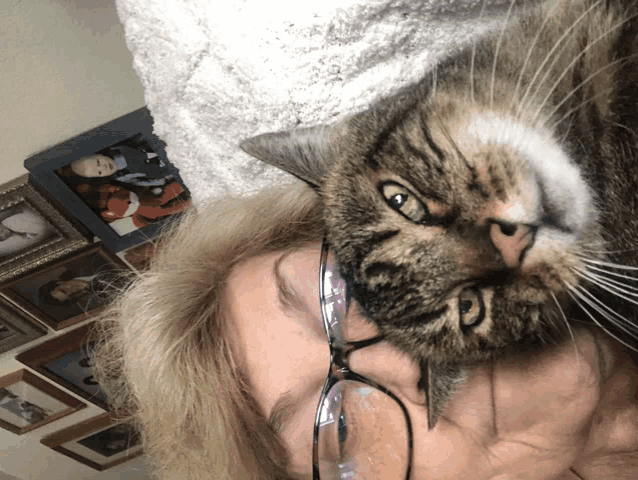 a woman wearing glasses is holding a cat in her lap