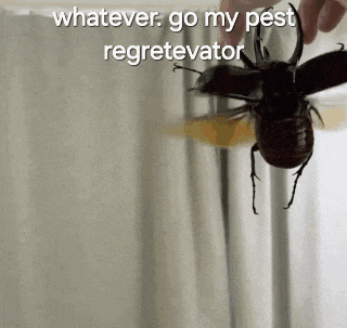 a person is holding a beetle with the words whatever go my pest regreteator written on it .