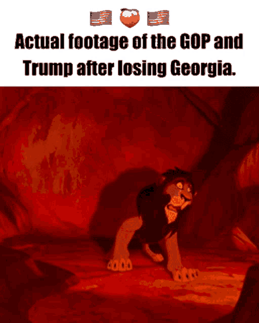 Georgiablue Trump GIF - Georgiablue Trump Gop GIFs