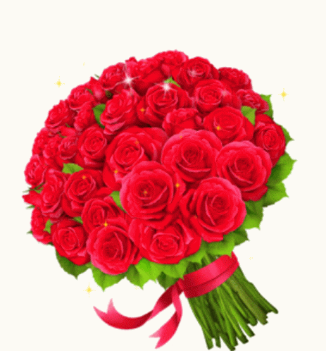 Roses Flowers GIF - Roses Flowers Red Roses GIFs