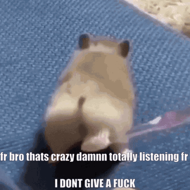 a hamster is sitting on a blue blanket with the caption i dont give a fuck .