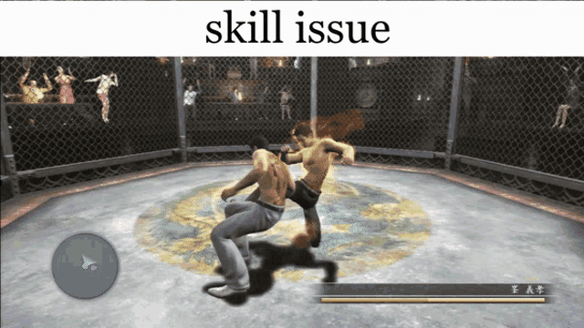 two men are fighting in a video game and the word skill issue is above them