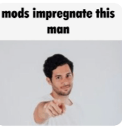 Meme Mods Inpregnate This Man GIF