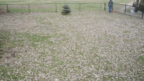 Fall Has Never Been So Easy GIF - Cool Slow Mo Trick GIFs