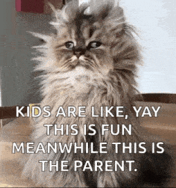 Good Morning Funny Animals GIF