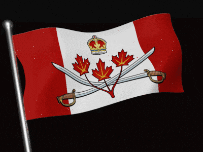 a canadian flag with swords and maple leaves