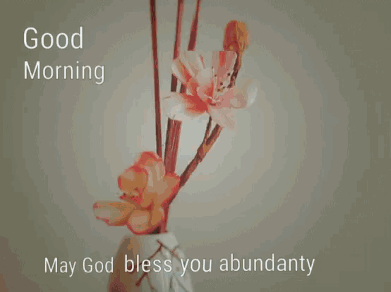 a good morning greeting card with a flower and the words may god bless you abundantly