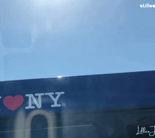 Lillee Jean Nyc GIF - Lillee Jean Nyc Ny GIFs