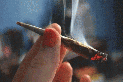 Smoking Joint GIF - Smoking Joint Weed GIFs