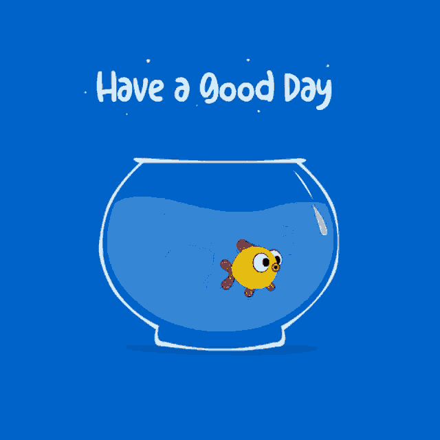 a fish in a blue bowl with the words have a good day