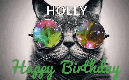 a cat wearing sunglasses and the words holly happy birthday on the bottom