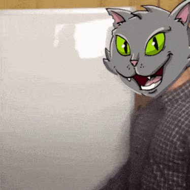 a man in a plaid shirt has a cat mask on his head