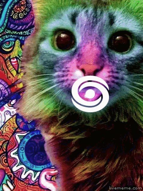 a cat with a colorful background and a circle in its mouth