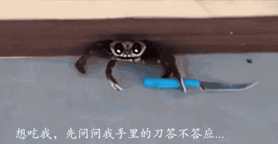 a crab is holding a blue knife in its paws