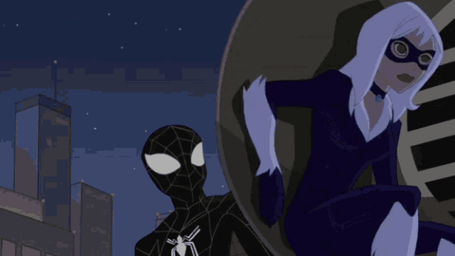 a cartoon of a black cat and spider man