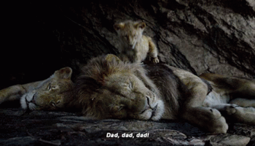 The Lion King Simba GIF - The Lion King Simba Dad Dad Dad GIFs