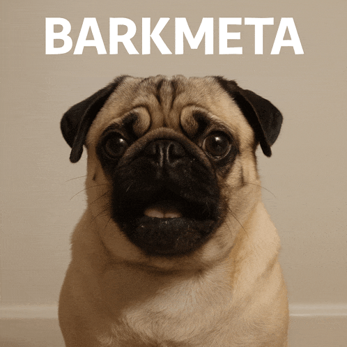 a pug dog is sitting in front of a sign that says " barkmeta "