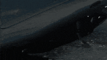 a man in a black jacket is standing next to a car and looking at it .