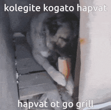 Kolegite Kogato GIF - Kolegite Kogato Hapvat GIFs