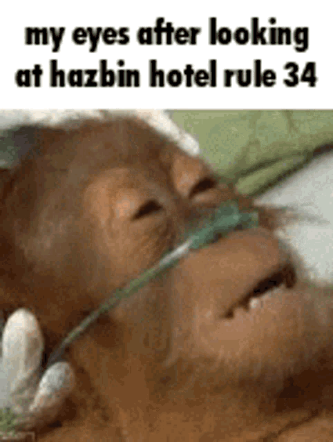 Hazbin Hotel Rule34 GIF - Hazbin Hotel Rule34 GIFs