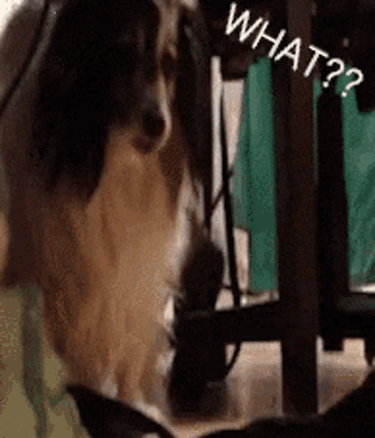 Aesmatv Youre The Best GIF