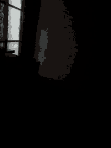a black and white photo of a dark room with a window